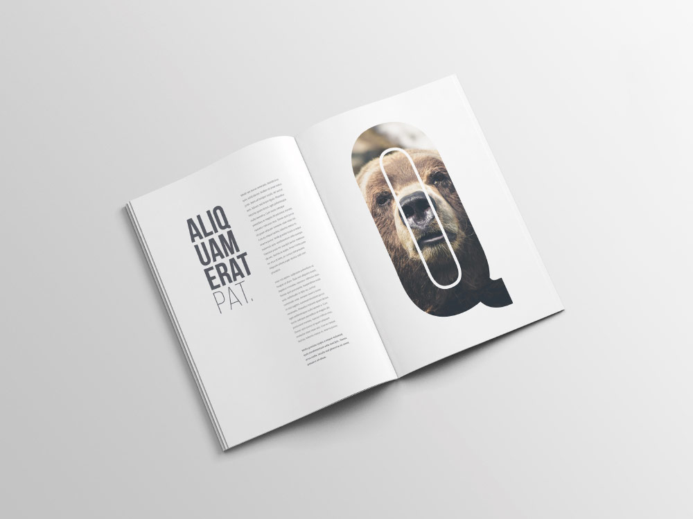 mockups revistas enfoquegaussiano