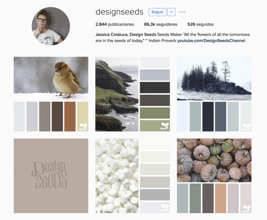 Instagram cuentas de diseño que debes seguir