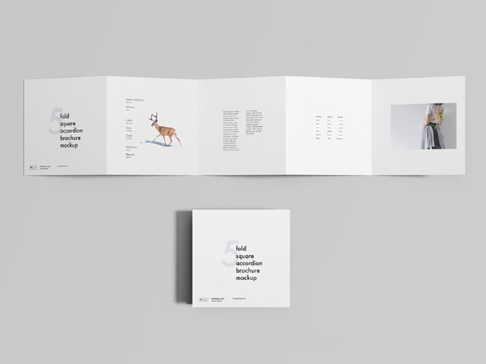 Mockup-gratis-folleto-4-pliegues
