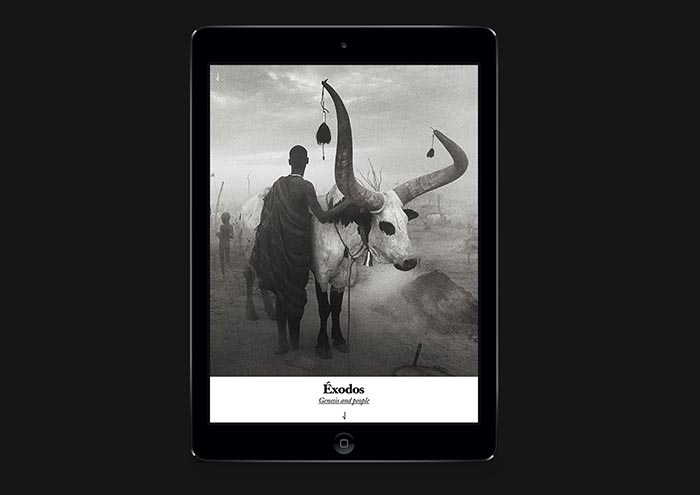 Revistas con estrella Behance Raw