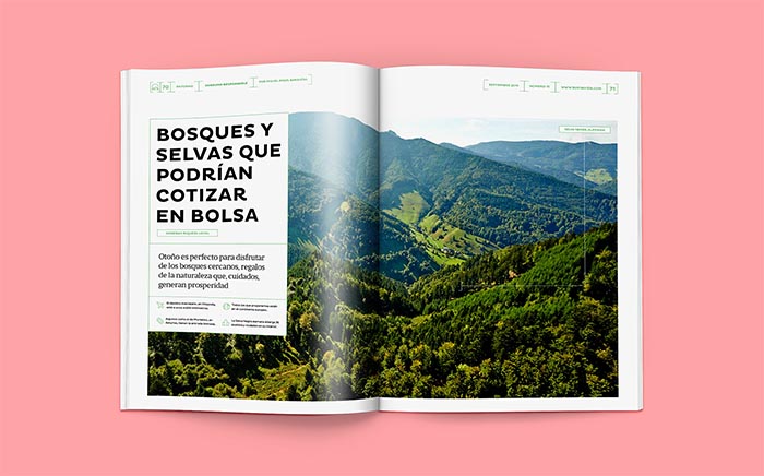 Revistas con estrella Behance BuenaVida Relaja el Coco