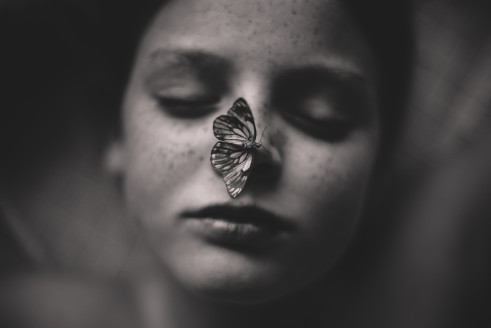 3rd-PLACE-2943-thebutterflypet_kelly_tyack-Australia