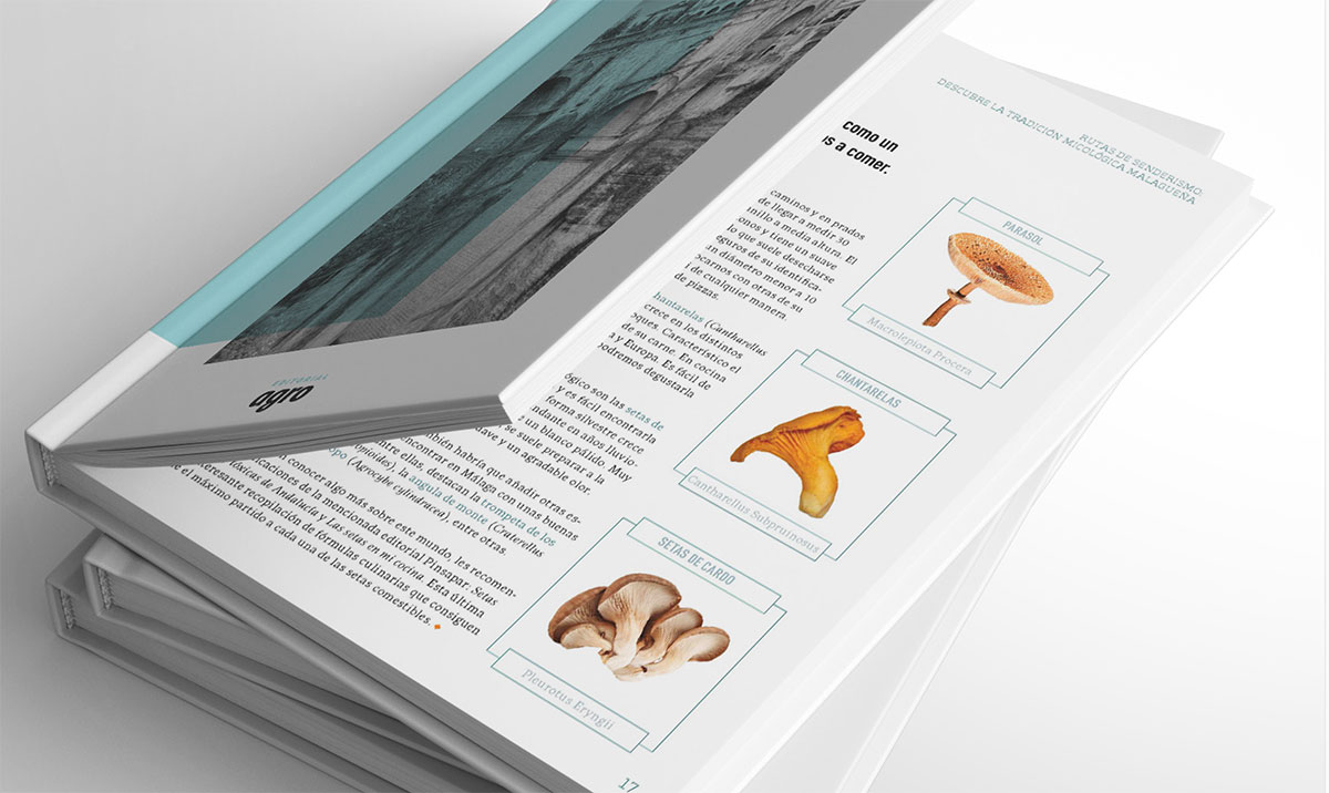 Diseño de colección, cubiertas y tripas para libros de rutas gastronómicas y turísticas, publicado por Agromedia.