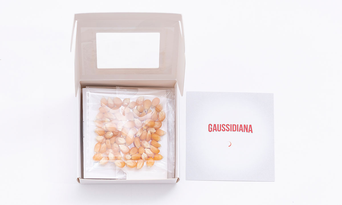 Gaussidiana. Un fanzine realizado por las alumnas y alumnos del Máster en diseño editorial de La Gauss