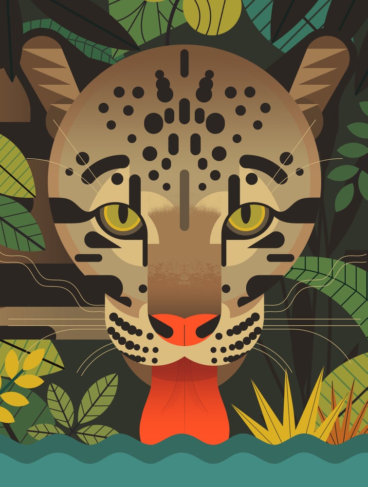 Mejores ilustradores Instagram Owen Davey