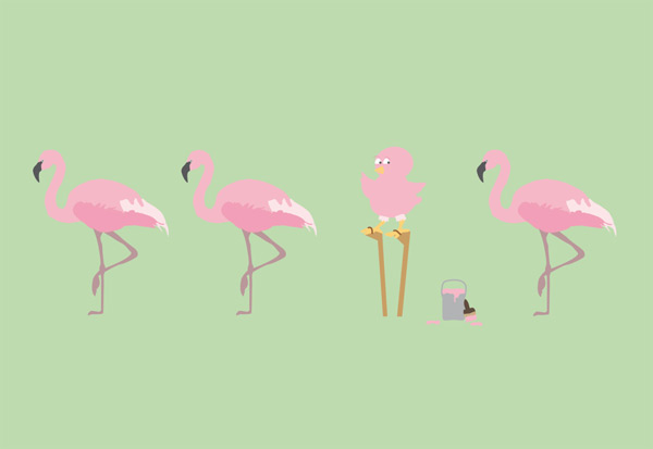 Pollos-Maria-Acuyo