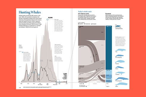 Infografía de Álvaro Valiño publicada en 'National Geographic'.