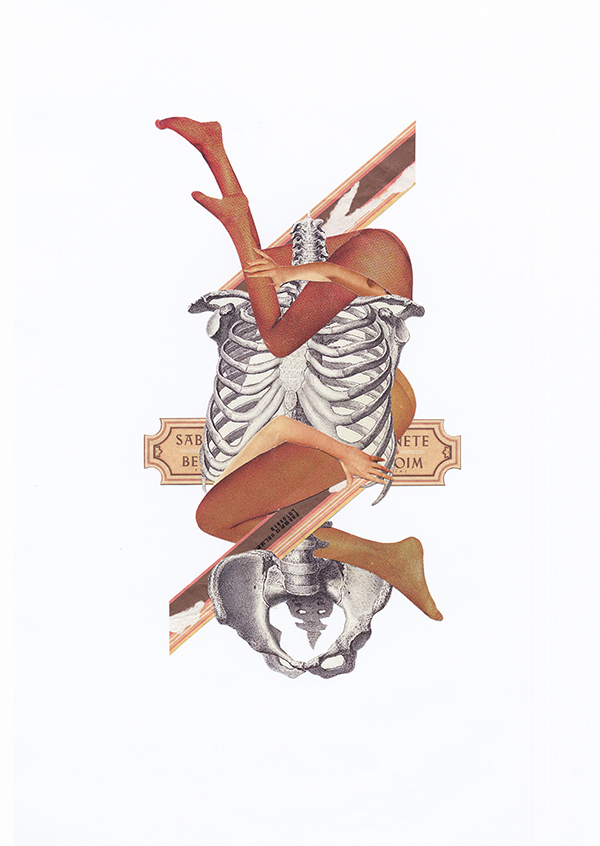 molokid collage disenador grafico buenos aires argentina leandro molo