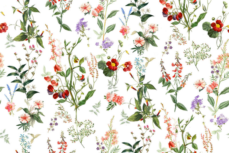 patrones estilos diseno grafico ilustracion pattern36