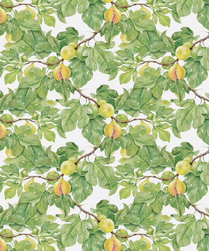 patrones estilos diseno grafico ilustracion pattern8