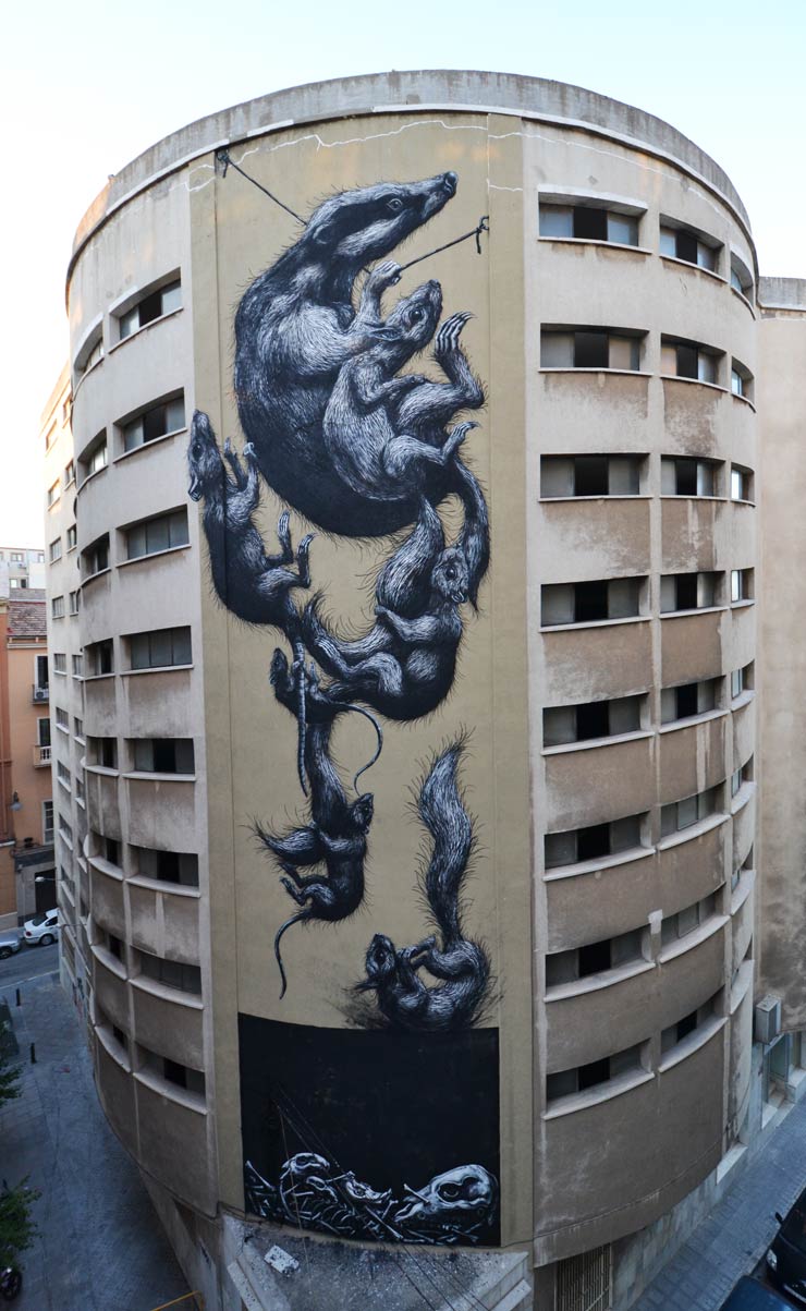 ROA street art grafiti Málaga