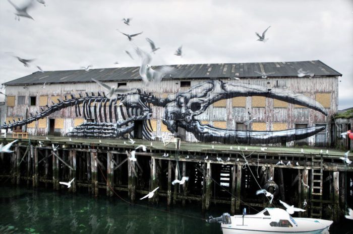 ROA street art graffiti animal bones norway