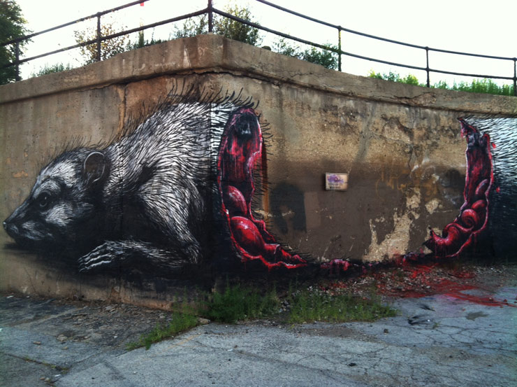 ROA street art graffiti animal open