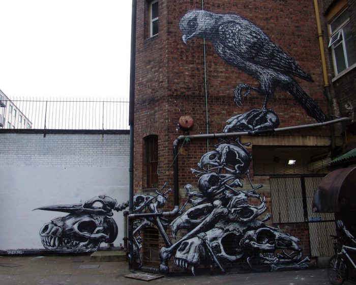 ROA street art graffiti animal bones bird