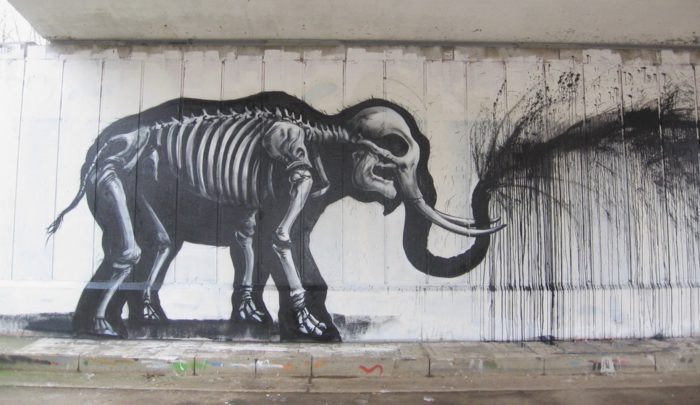 ROA street art graffiti animal bones bones elephant