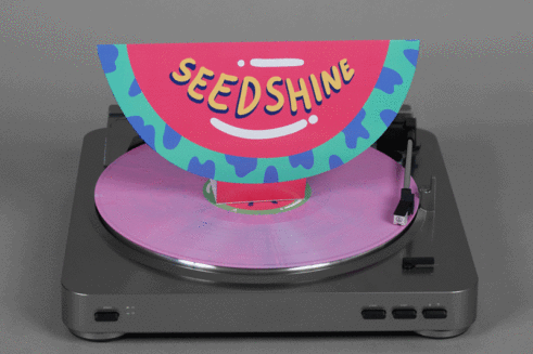 vinilos ilustrados ilustración de vinilo vinyl moon